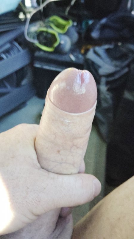 Pošlu na váš WhatsApp _1