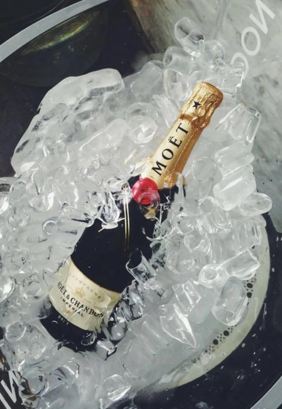 Night club Labelle shání nove tváře_5