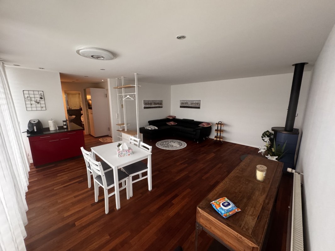 Hledáme Společnici_0