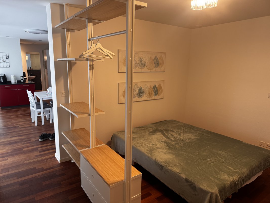 Hledáme Společnici_1