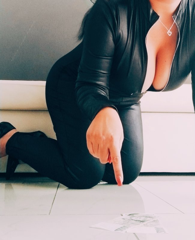 Přes 80 videí ihned ke shlédnutí _3